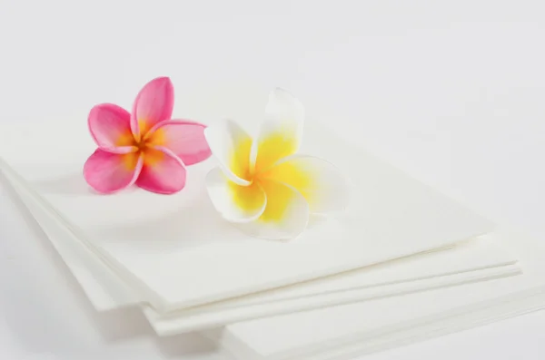 Flower and card — Stock Photo, Image