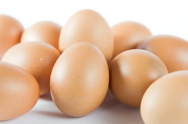 Mnoho vajec — Stock fotografie