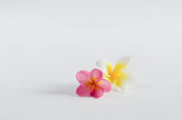 Spa flor — Fotografia de Stock