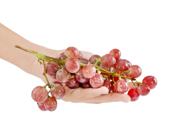 Hand with grapes — Stock Photo, Image