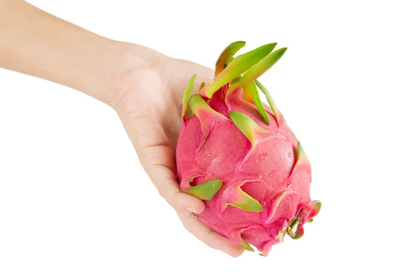 Hand with dragon fruit — Stock Photo, Image
