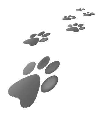 Wild Life clipart