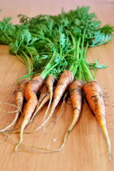 Fresh carrots Stock Photo