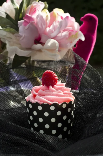 Cupcake — Foto Stock