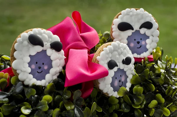 Печиво у формі вівці в саду — стокове фото