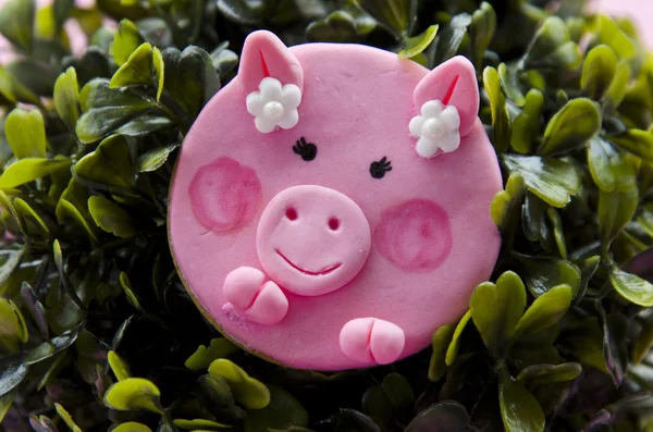 Cupcake em forma de porco — Fotografia de Stock