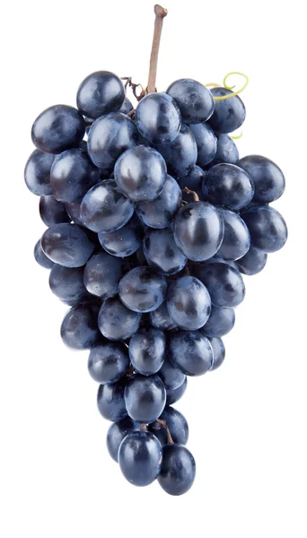 Fresh blue grape fruits — Stock Photo, Image