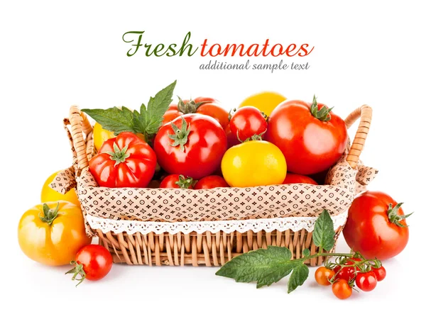 Tomates frescos en la cesta — Foto de Stock