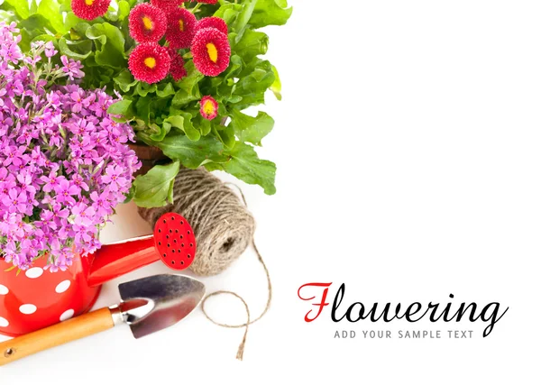 Spring flowers with garden tools — Stok fotoğraf