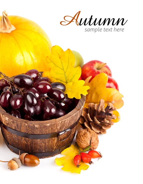 Jesiennych zbiorów owoców i warzyw z żółtymi liśćmi — Zdjęcie stockowe