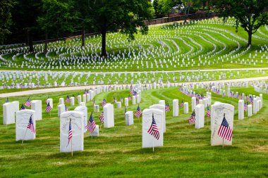 Flags decorate veterans cemetery for Memorial Day clipart