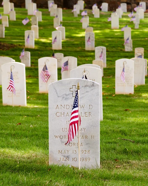 Флаги украшают кладбище ветеранов ко Дню памяти — стоковое фото
