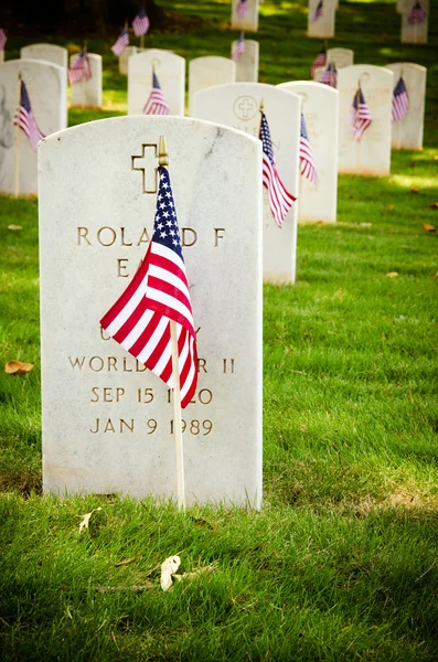 Des drapeaux décorent le cimetière des anciens combattants pour le Jour du Souvenir — Photo