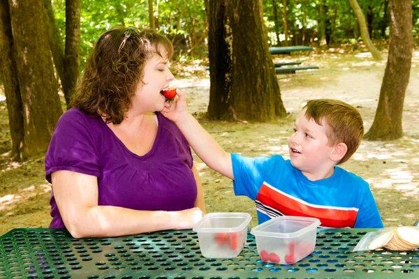 Madre e bambino che fanno un picnic al parco sotto il baldacchino della foresta di alberi — Foto Stock