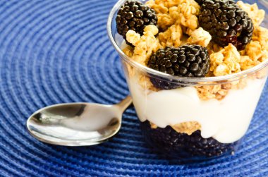 böğürtlen, granola ve vanilya yoğurt parfe