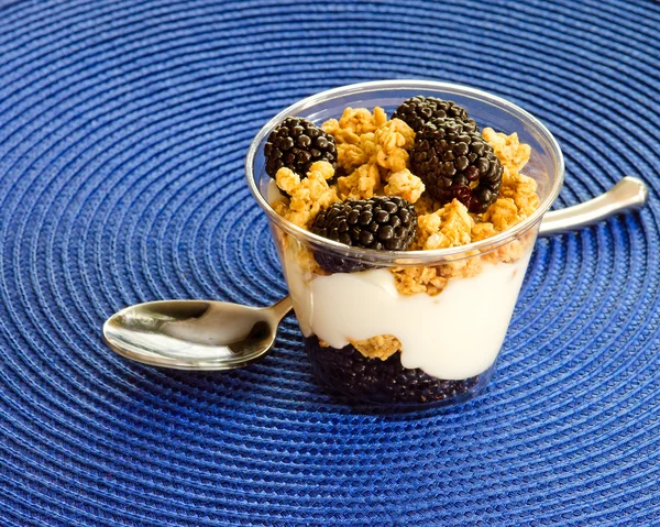 Blackberry, granola and vanilla yogurt parfait — Stock Photo, Image