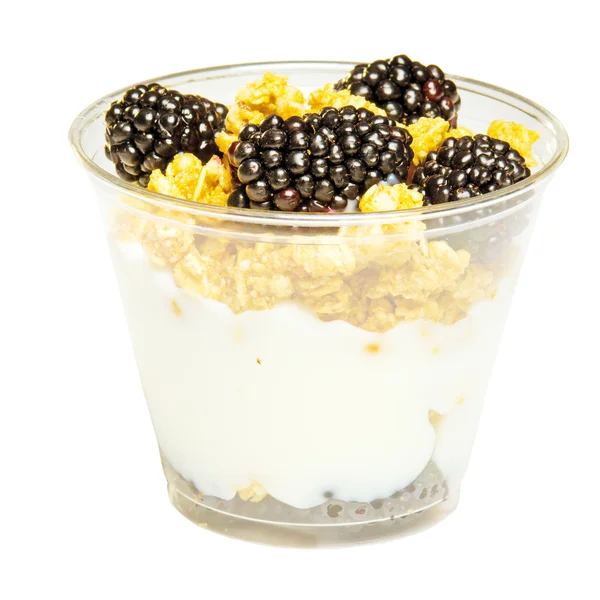 stock image Blackberry, granola and vanilla yogurt parfait