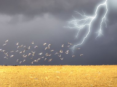 Lightning in the field clipart