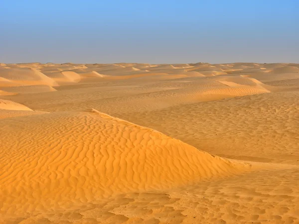 Dune di sabbia del deserto — Foto Stock