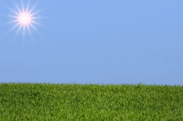 Солнце, небо и трава — стоковое фото