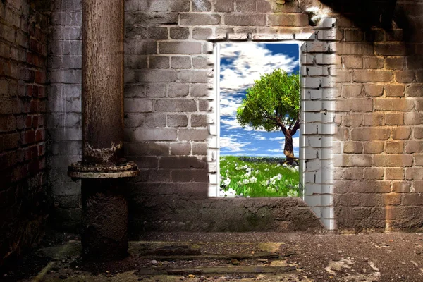 De deur in de muur — Stockfoto