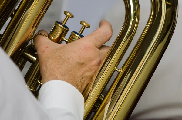 The tuba player — Stock Photo, Image