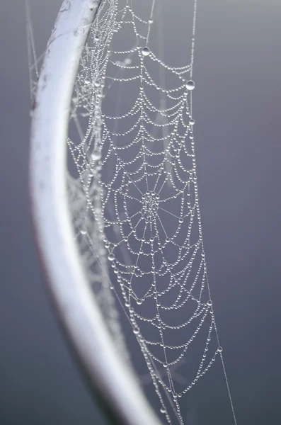 Spider web and steel — Stock Photo, Image