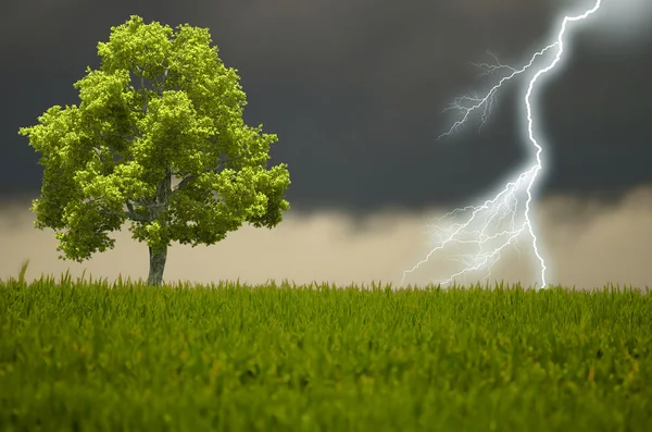 stock image The tree and the storm