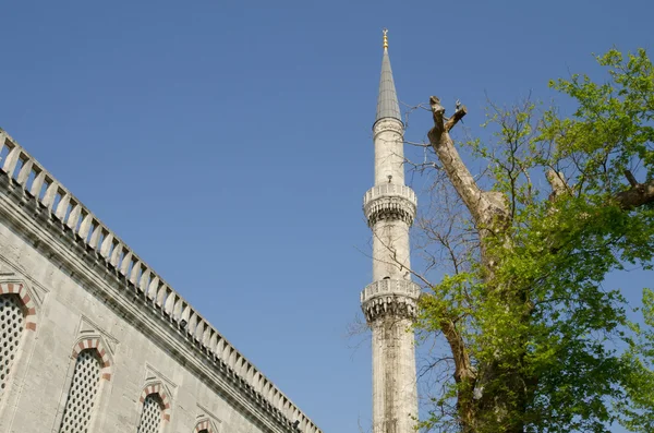 Blue Mosque of istanbul — Stock Photo, Image