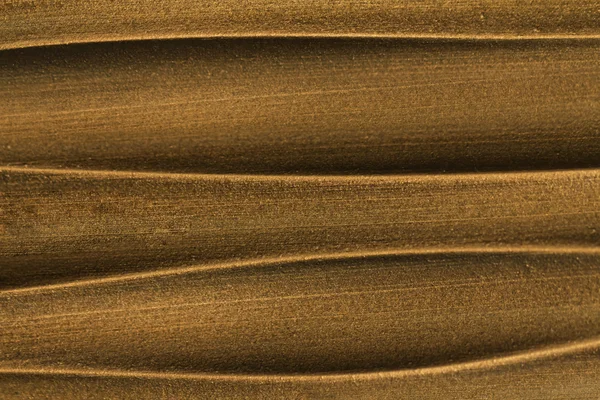 木製の抽象的なパターン — ストック写真