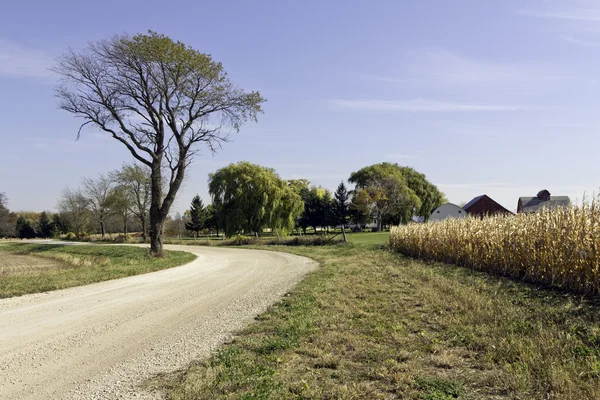 Сельская дорога путем выращивания пшеницы — стоковое фото