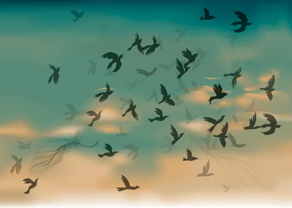Migración de aves — Vector de stock