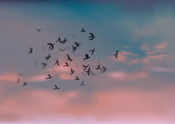 Vogels migratie — Stockvector