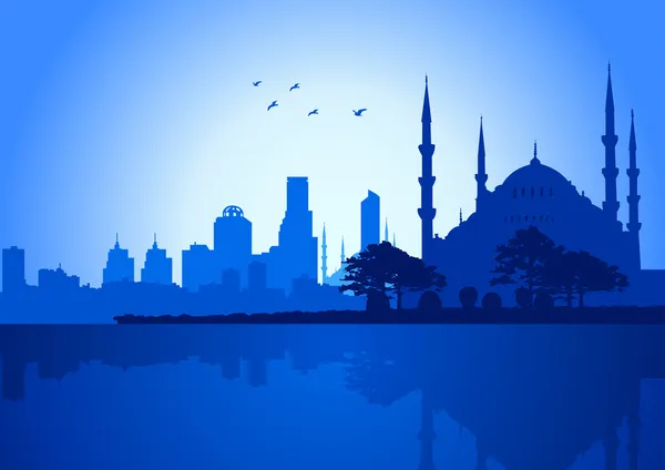 Skyline von Istanbul — Stockvektor