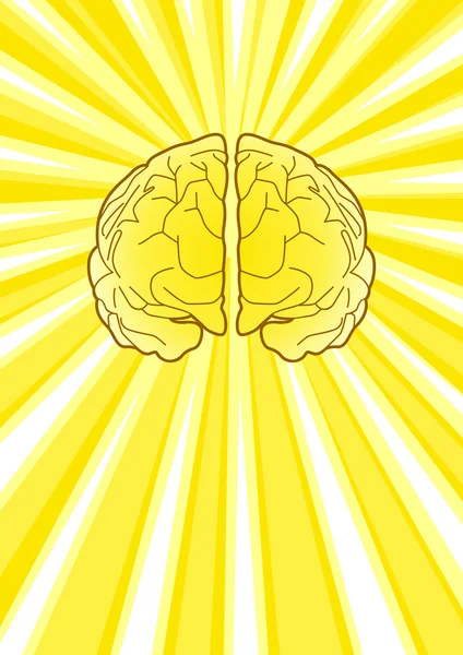 Cerebro brillante — Archivo Imágenes Vectoriales