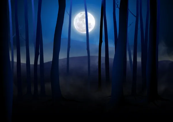 Sötét erdő — Stock Fotó
