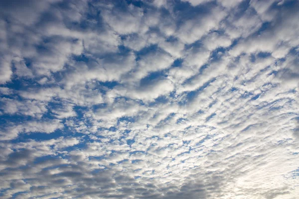高積雲雲 — ストック写真
