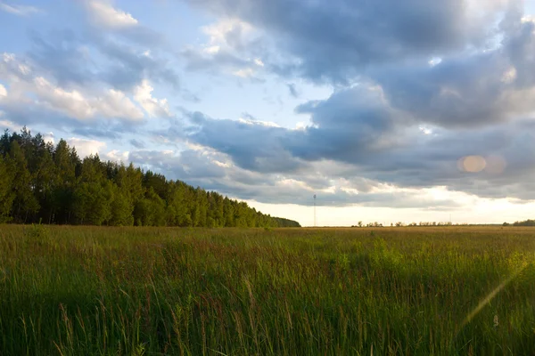 stock image Summer landscape early evening