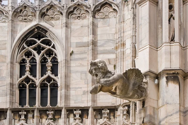 Ein Wasserspeier in der Kathedrale von Mailand — Stockfoto