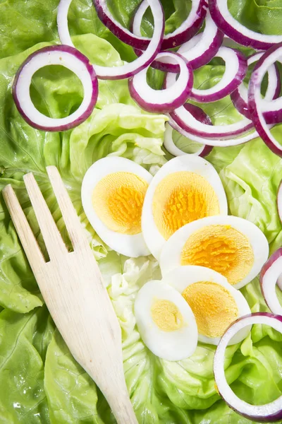 卵とサラダ — ストック写真