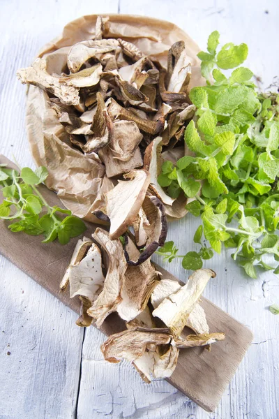 stock image Fruit of the forest floor, mushrooms