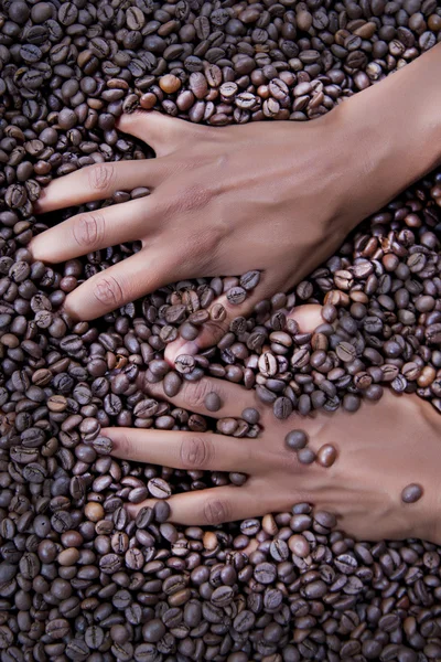 Manos de una mujer joven y granos de café — Foto de Stock