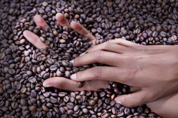 Manos de una mujer joven y granos de café —  Fotos de Stock