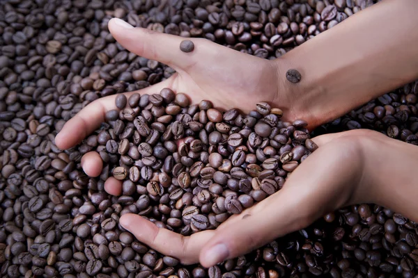 Руки молодой женщины и кофейные зёрна — стоковое фото
