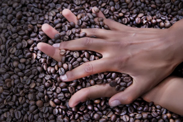 Mãos de uma jovem e grãos de café — Fotografia de Stock