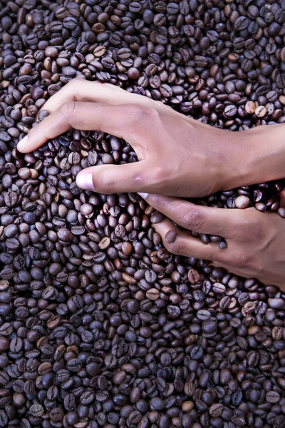 Hænder af en ung kvinde og kaffebønner - Stock-foto