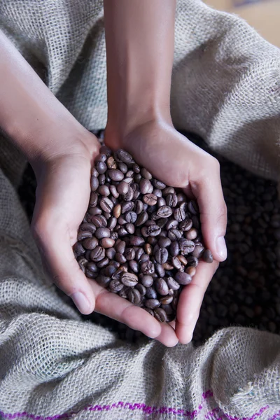 Mãos de uma jovem e grãos de café — Fotografia de Stock