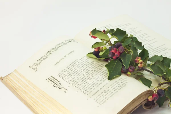 stock image Open book with a sprig of berries on a white background