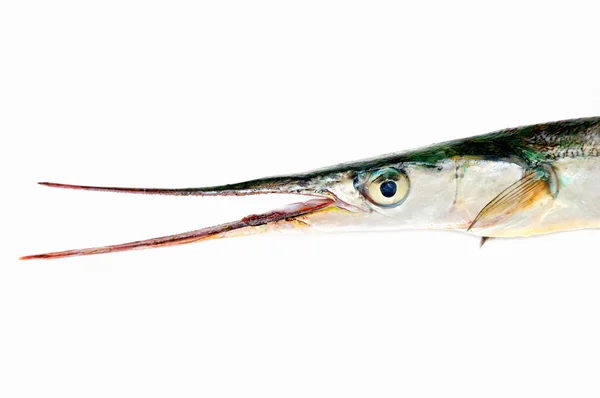 Färsk rå fisk nål på vit bakgrund Stockbild