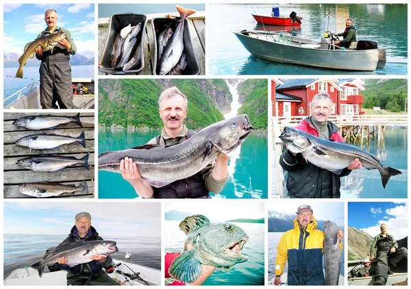 Collage av fiskare som innehar en stor färsk fisk Stockbild
